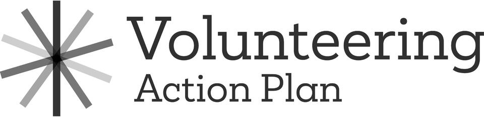 Logo for Volunteering Action Plan. A large asterisk composed of five equally space bars that overlap in the middle.
